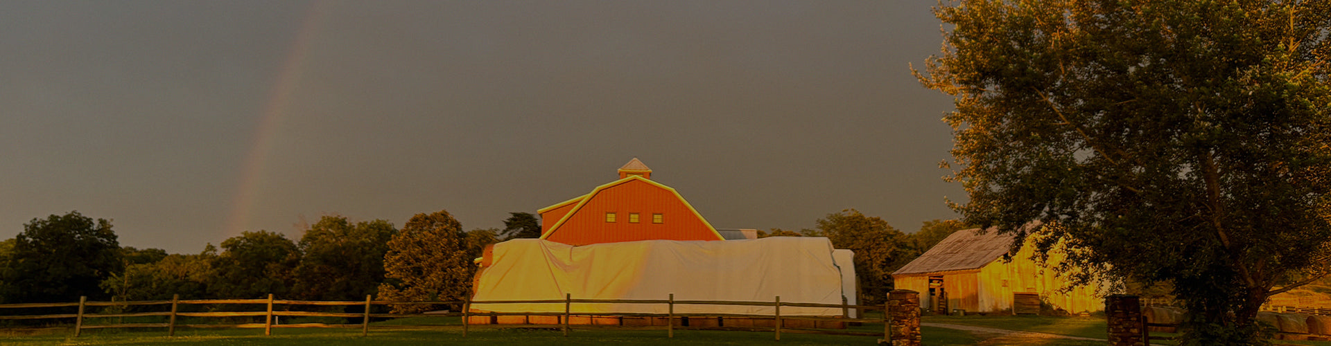 Subscription_Service_Corporate_Gifting_bg