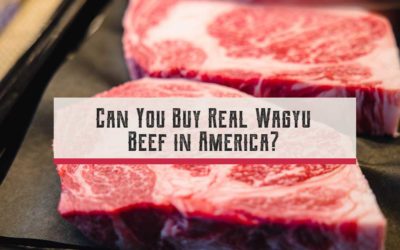 Can You Buy Real Wagyu Beef in America?